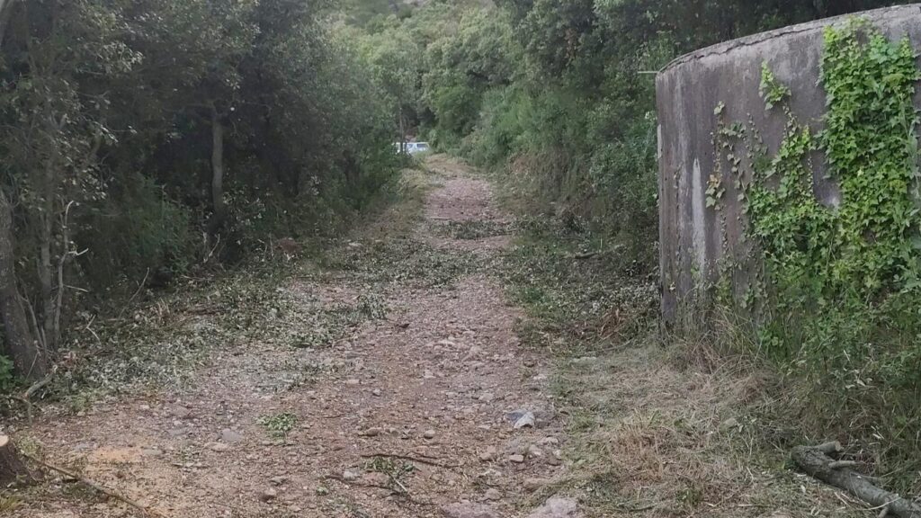neteja de camins